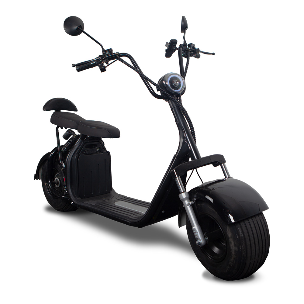 Raider Electric Scooter