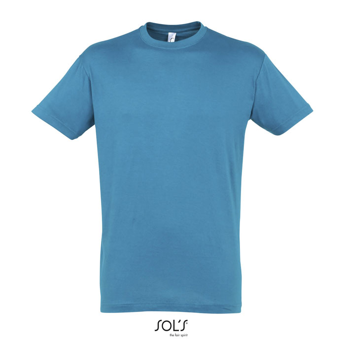 Regent Unisex T-shirt 150g Aqua